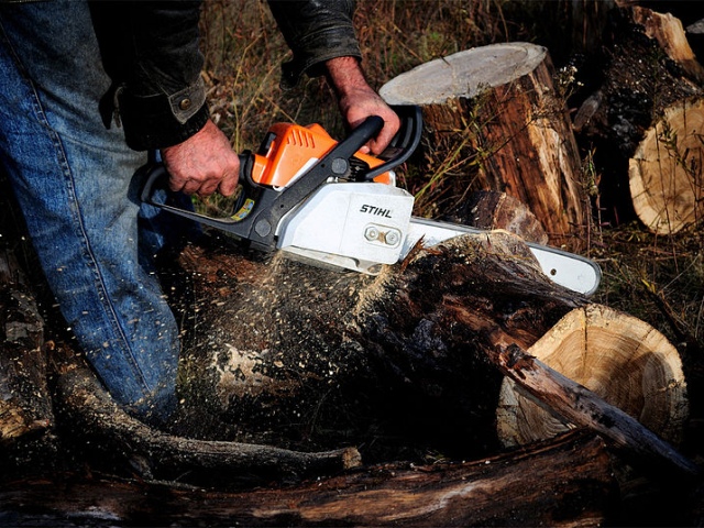 1386777118_800px-stihl.jpg