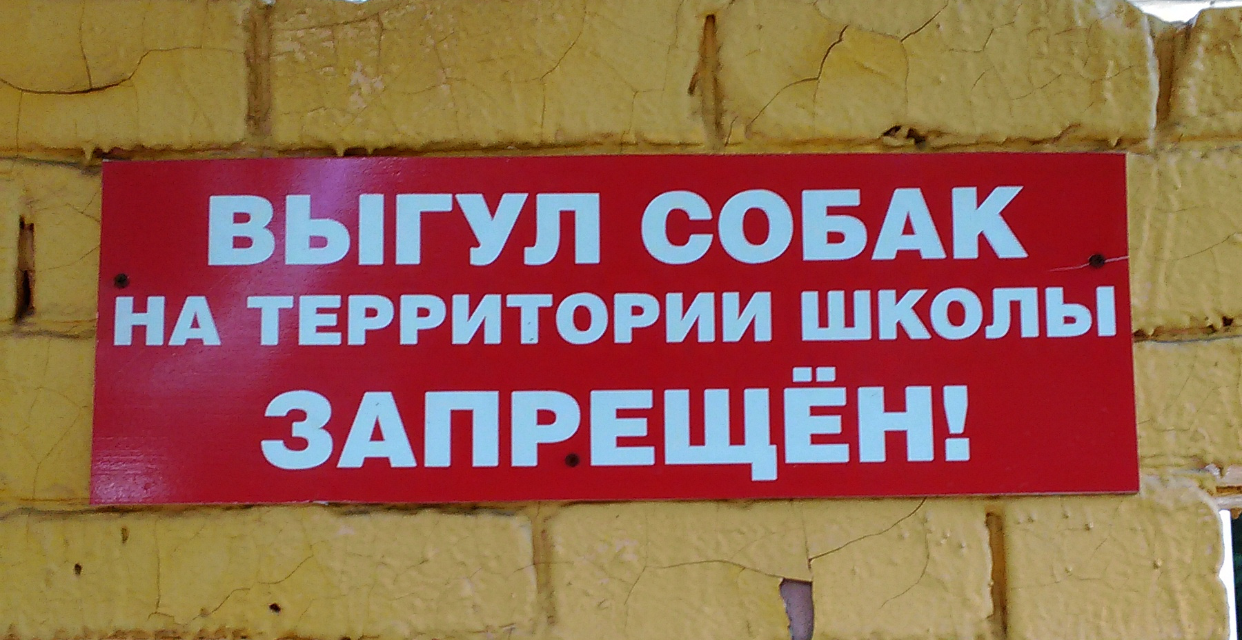 Киевлянам запретили гулять с собаками на территориях школ Киевлянам запретили гулять с собаками на территориях школ