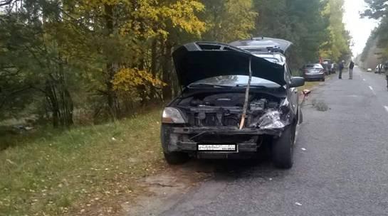 На Киевщине лось бросился под колеса авто, проезжающее через лес На Киевщине лось бросился под колеса авто, проезжающее через лес