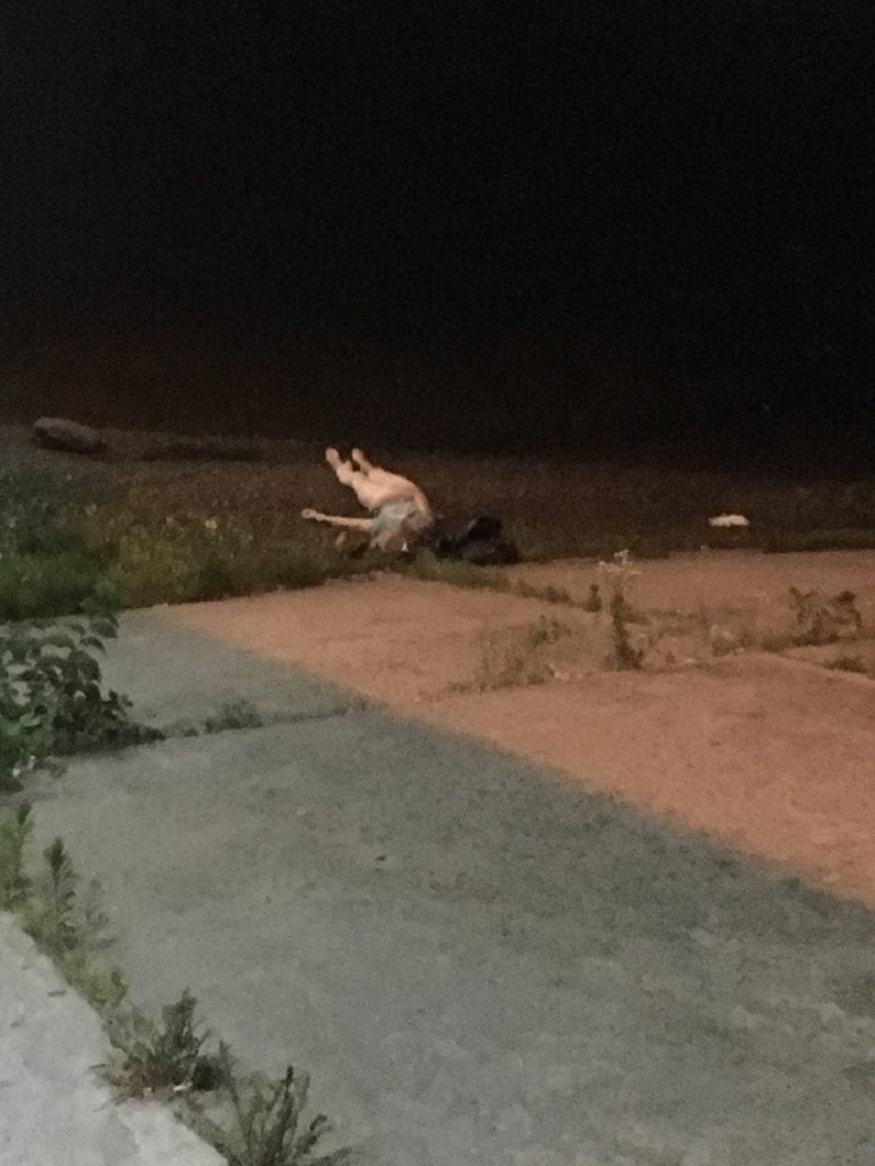 В столичном Гидропарке нашли погибшую женщину с иконкой В столичном Гидропарке нашли погибшую женщину с иконкой