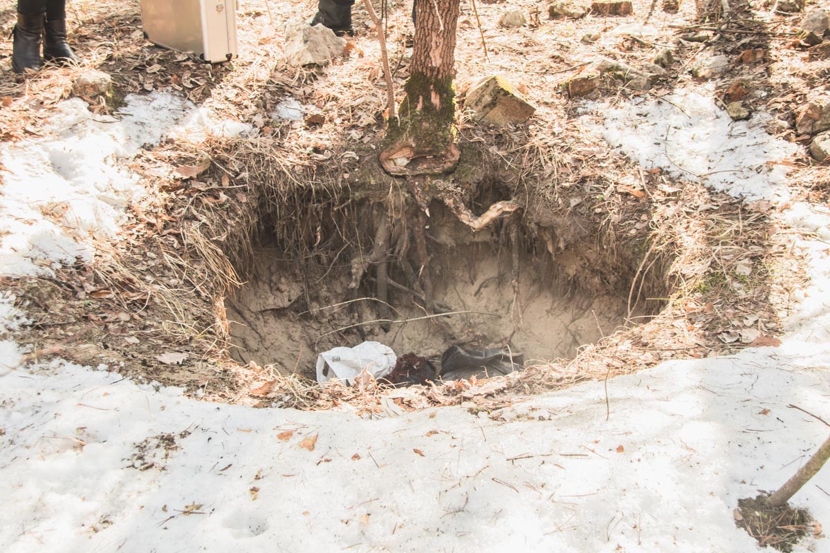 В киевском лесу в метровой яме нашли разлагающееся тело пенсионерки