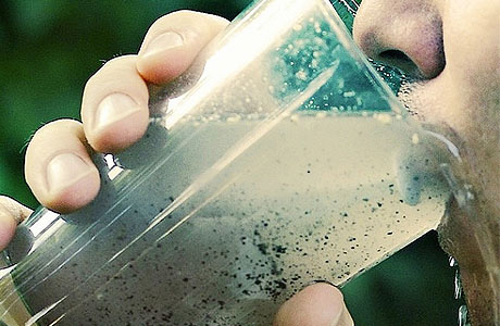 В озере вблизи Киева обнаружен смертельно-опасная бактерия