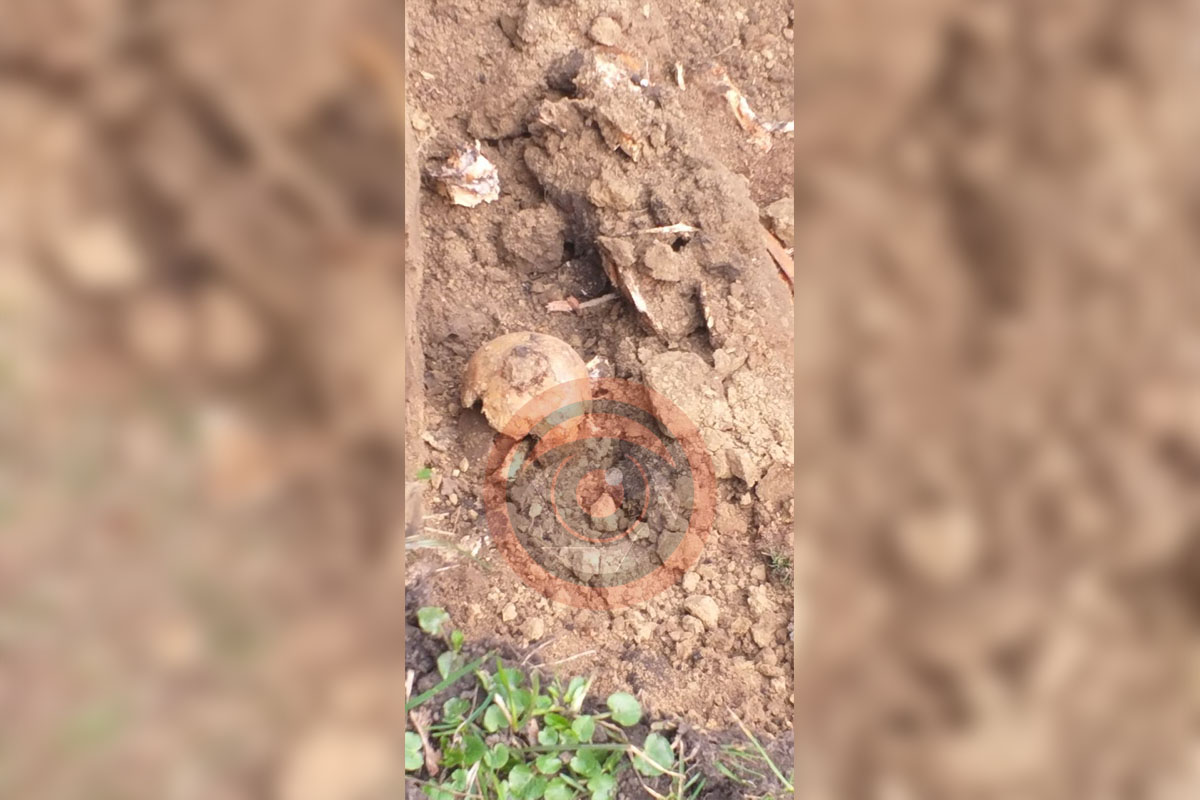 Работники "Киевзеленстроя" случайно выкопали человеческие останки