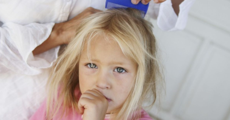 Педикулез у детей: чем  и как лечить вши у ребенка?