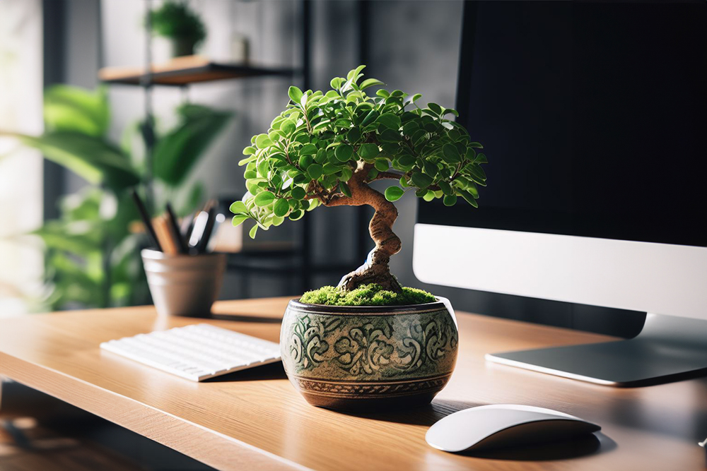 Дерева-бонсай вдома: мистецтво догляду та його прості секрети